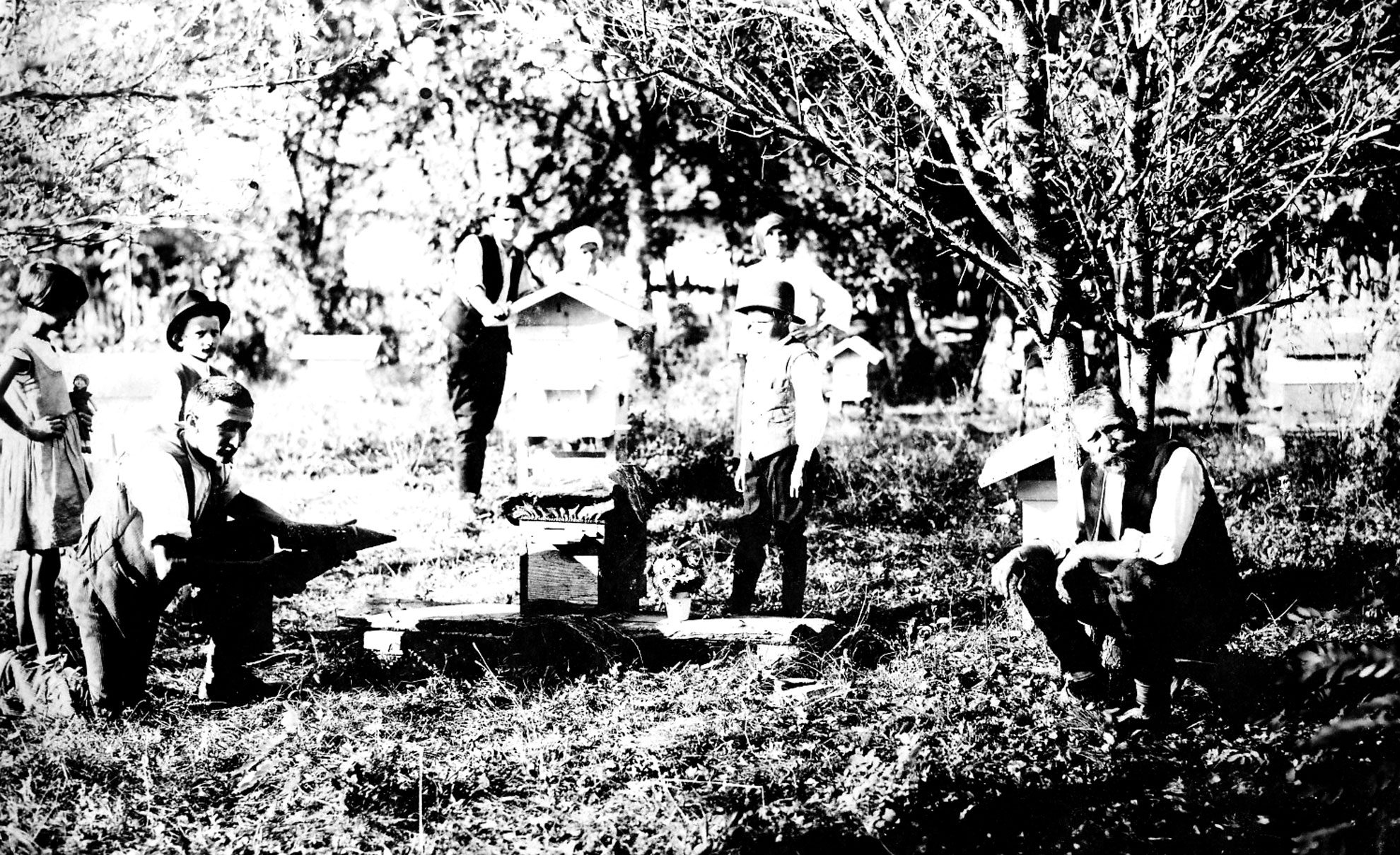 03 09 1932 stojanov pcelinjak porodica kamenovo